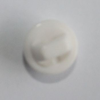 Item Name